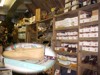 Moccasins