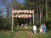 Storybook forest