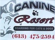 Boarding for small and large Dogs