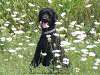 Pausing To Smell The Flowers