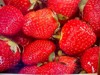 Fresh Huron County Strawberries!