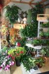 Enjoy our Beautiful Instore Displays!